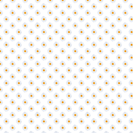5000x5000px 300dpi Fancy Daisies Daisy field floral Pattern Background/ Digital Paperの写真素材