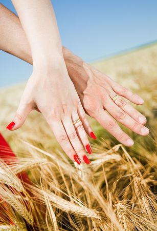 Close-up of newly-married couple in the field の写真素材