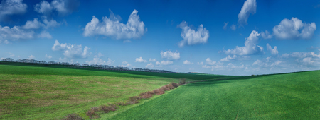 Beautiful green field summer landscapeの写真素材