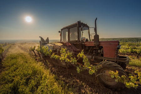 Working machines on the grape fieldの写真素材