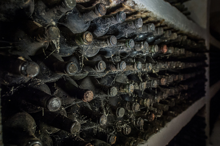 Old wine bottles in a cobweb in the cellarの写真素材