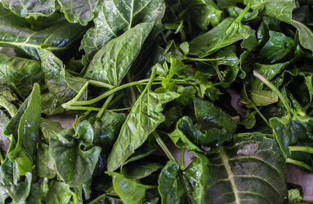 Fresh raw green spinach background