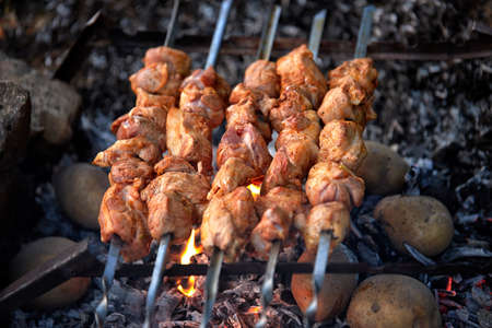 Kebabs in nature, with baked potatoes in coals, on an old home-made grill, with a shallow depth of fieldの写真素材