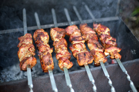 Kebabs in nature, on an old homemade grill, with a shallow depth of fieldの写真素材