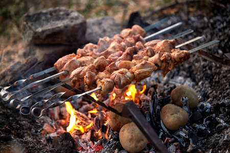 Kebabs in nature, with baked potatoes in coals, on an old home-made grill, with a shallow depth of fieldの写真素材