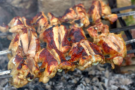 Chicken kebab, outdoors, on a homemade grill, close-upの写真素材