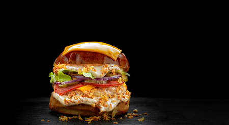 fresh chicken burger on dark backgroundの写真素材