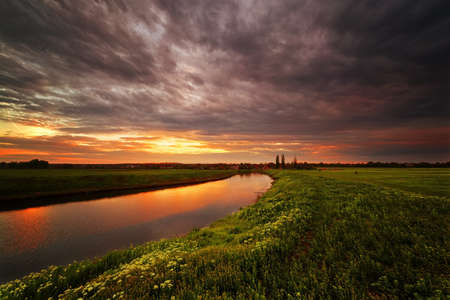 Beautiful spring sunset on the river, flowers and herbs