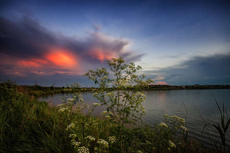 Amazing sunrise by the lake with colorful clouds and vegetation in the foregroundの写真素材
