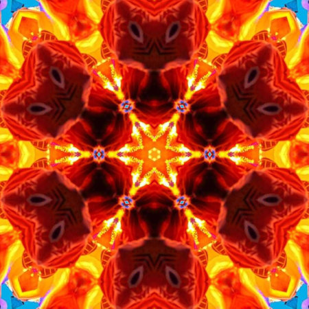 Unique bright pattern in oriental style. illustrationの写真素材