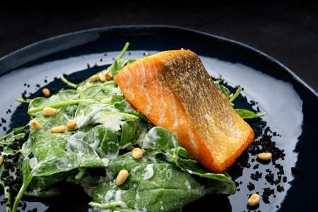 Grilled salmon fillet with herbs and nuts, on a plate, on a dark background. Place for textの写真素材