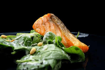 Grilled salmon fillet with herbs and nuts, on a plate, on a dark background. Place for textの写真素材