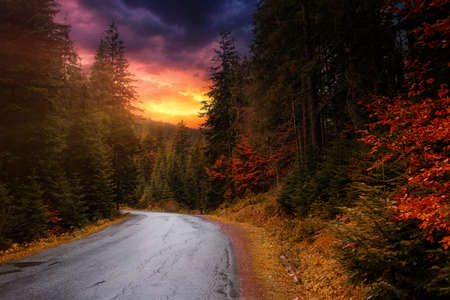 Empty road in the mountains, among the autumn forest, at sunriseの写真素材