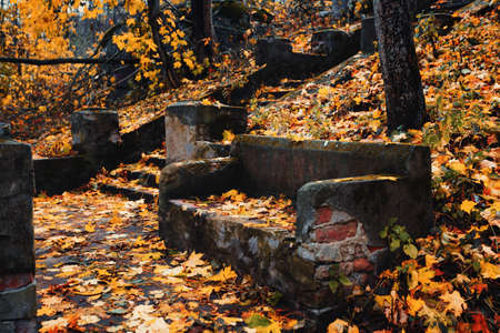 A very old stone bench in an autumn parkの写真素材