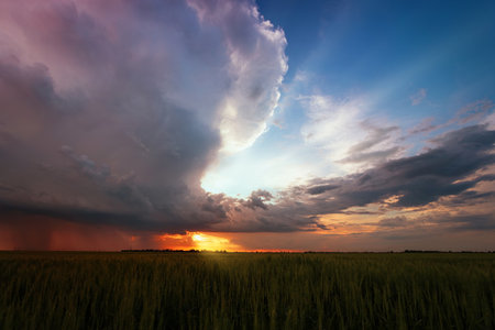 Sunset on the field with sun rays and lightsの写真素材
