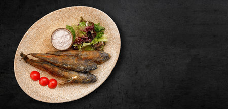Fried goby fish in a plate, on a dark concrete background. Bannerの写真素材