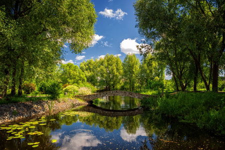 Nature park in summer with river, stone bridge, green trees, and blue skyの写真素材