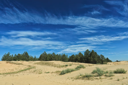 Sandy desert hills with occasional vegetation blue skies and white cloudsの写真素材