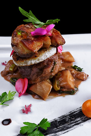 Foie gras on a white plate with herbsの写真素材