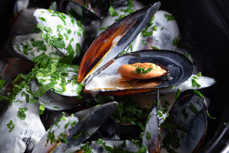 Boiled mussels in creamy sauce. Close upの写真素材