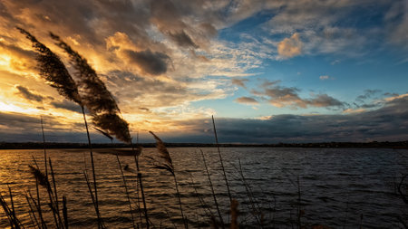 Dramatic sunset on lake with reedsの写真素材