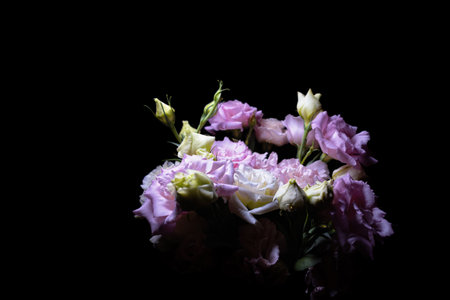 Bouquet of beige and purple eustoma with buds on black background. Perfect for cards, and floral design with text space.の写真素材