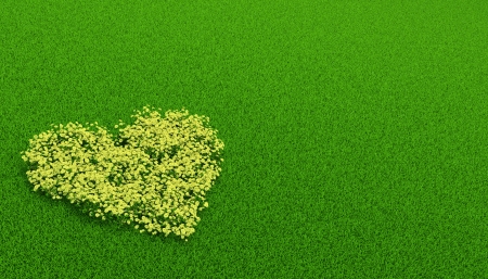yellow flowerbed of in a shape of heart on the grassの写真素材
