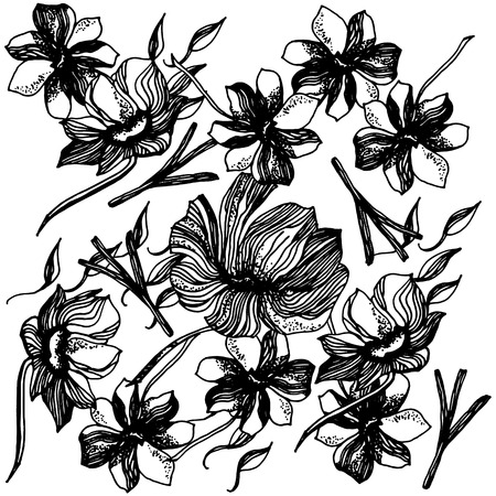 Flower background. Floral texture with flowers. Flourish spring texture.の写真素材
