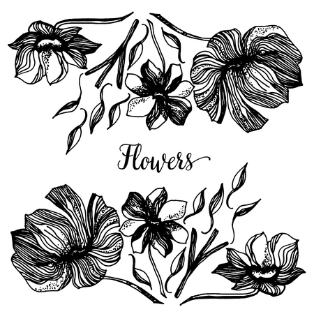 Vintage Greeting Card with Blooming Flowers. Thank You with Place for Your Text. Wildflowers, Vector Illustrationのイラスト素材