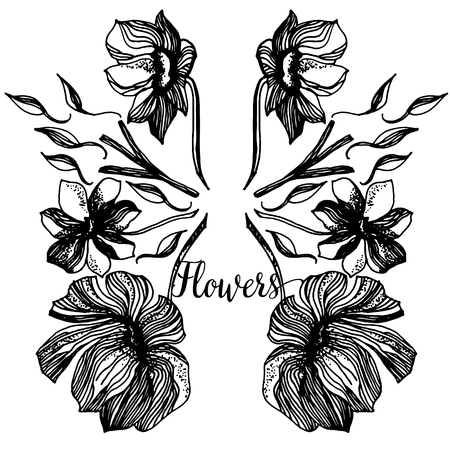 Vintage Greeting Card with Blooming Flowers. Thank You with Place for Your Text. Wildflowers, Vector Illustrationのイラスト素材