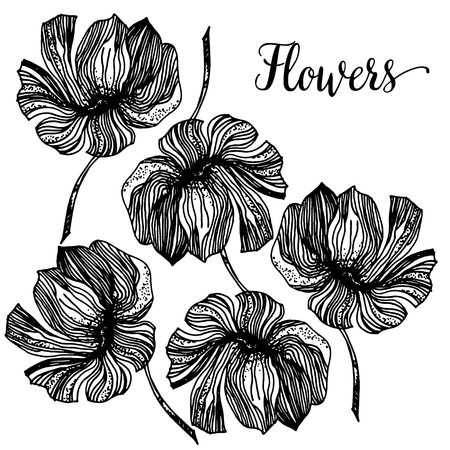 Vintage Greeting Card with Blooming Flowers. Thank You with Place for Your Text. Wildflowers, Vector Illustrationのイラスト素材