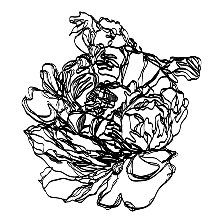 Drawing vector graphics with floral pattern for design. Floral flower natural design. Graphic, sketch drawing. Pion.のイラスト素材