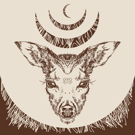 stag deer head sketch vector graphics monochrome drawingのイラスト素材