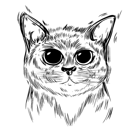 Stylized cat. Template for cards and any printing products, printing on clothing. Vector illustration.のイラスト素材