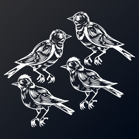 Elegant and cute illustration. Birds sit on each branch. Printing for textile and industrial purposes. And a beautiful romantic frame of flowers and twigs. Vector illustration.のイラスト素材