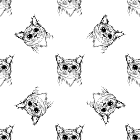 Ornament Stylized cat with beautiful cute eyes. Kawaii. Template for cards and any printing products, printing on clothing. Vector illustrationのイラスト素材