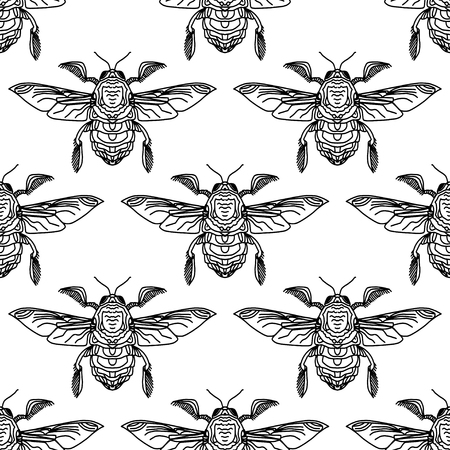 Vector illustration of the engraving highly detailed hand-drawn beetle with wings, insect on white background. Kawaii. Template for cards and any printing products, printing on clothing.のイラスト素材