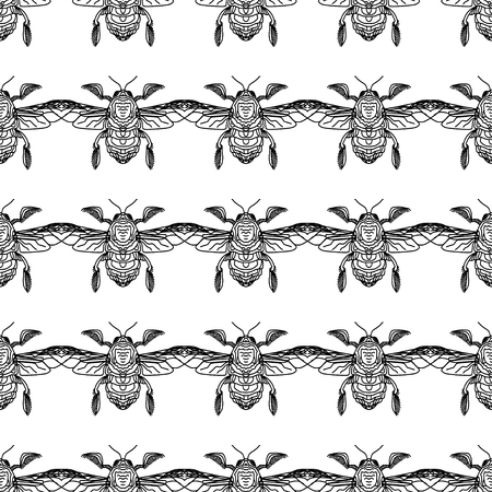 Vector illustration of the engraving highly detailed hand-drawn beetle with wings, insect on white background. Design a tattoo, a symbol of mystical magic for your use.のイラスト素材