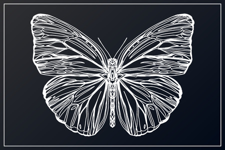 Beautiful hand drawn sketching butterflies pattern vector illustration. Figure in the style of boho. Isolated image.のイラスト素材