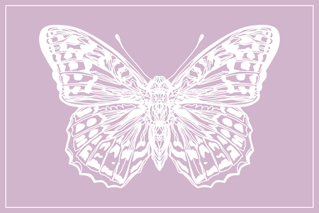Beautiful hand drawn sketching butterflies pattern vector illustration. Figure in the style of boho. Isolated image.のイラスト素材