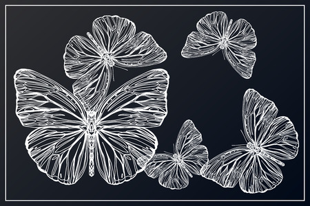 Beautiful hand drawn vector illustration sketching of butterflies. Boho style drawing. Use for postcards, print for t-shirts, posters, wedding invitation, tissue, linens - Vectorのイラスト素材