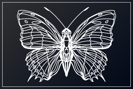 Beautiful hand drawn sketching butterflies pattern vector illustration. Figure in the style of boho. Isolated image.のイラスト素材