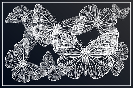 Beautiful hand drawn vector illustration sketching of butterflies. Boho style drawing. Use for postcards, print for t-shirts, posters, wedding invitation, tissue, linens - Vectorのイラスト素材