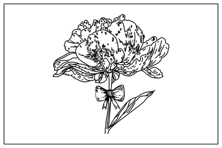 Peony flower on the stem with a bow. Symbol of love and gift. Design elements for Valentine's day card. Vector flower peony.のイラスト素材
