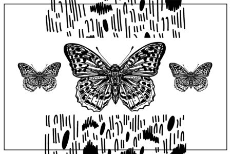 Beautiful hand drawn vector illustration sketching of butterflies. Boho style drawing. Use for postcards, print for t-shirts, posters, wedding invitation, tissue, linensのイラスト素材
