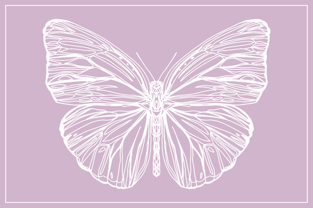 Beautiful hand drawn sketching butterflies pattern vector illustration. Figure in the style of boho. Isolated image.のイラスト素材
