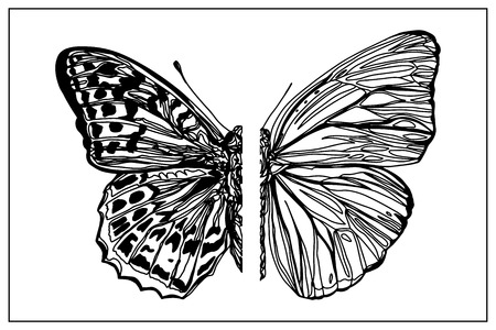 Beautiful hand drawn sketching butterflies pattern vector illustration. Figure in the style of boho. Isolated image.のイラスト素材