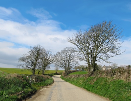 Small country road in Southern part of Cornwall, United Kingdom                                の写真素材