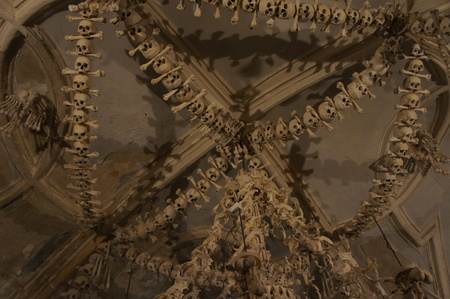 Chandelier made of bonesの写真素材