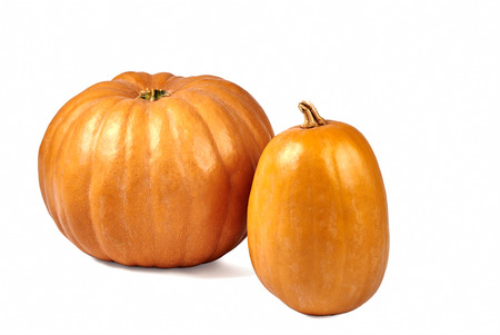 Two pumpkins isolated on white backgroundの写真素材